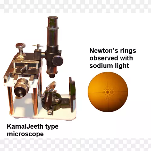 ��ѧ������ѧ���-������