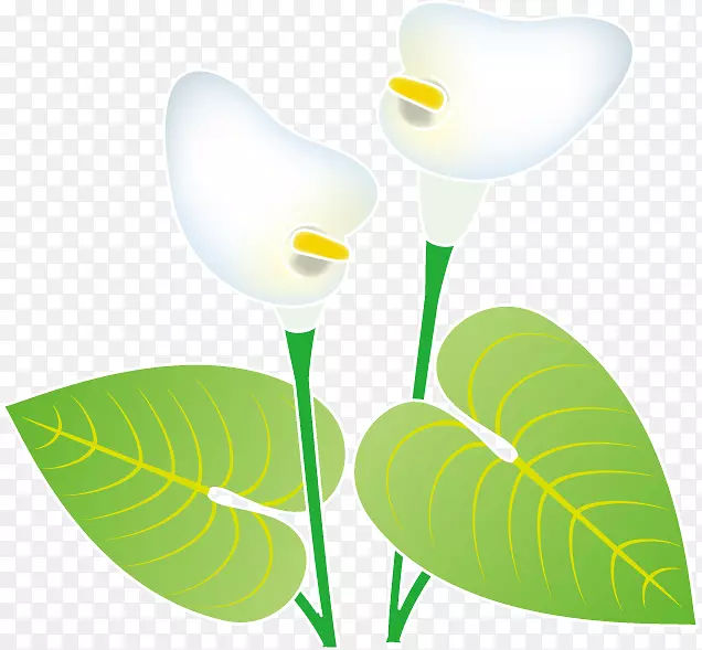 ���꿪��ֲ��Ҷ-������