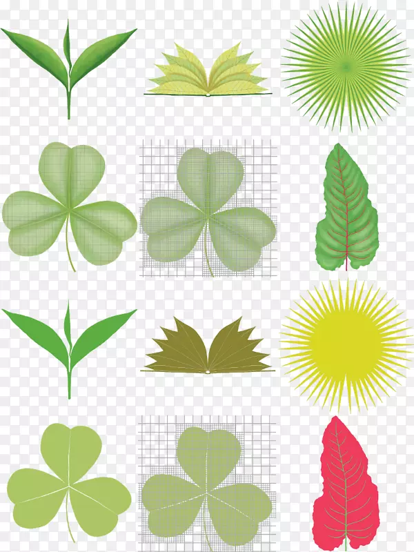 ������ɫ����ֲ��-Ҷ-������