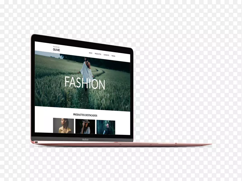 ��ʾװ�ö�ý����ʾ������-������