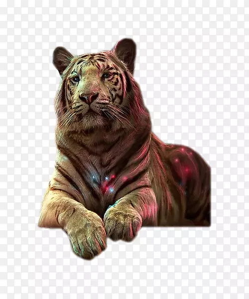 lg uh600v 4k�ֱ���lg uh610v���ܵ���-Kurt resmi-������