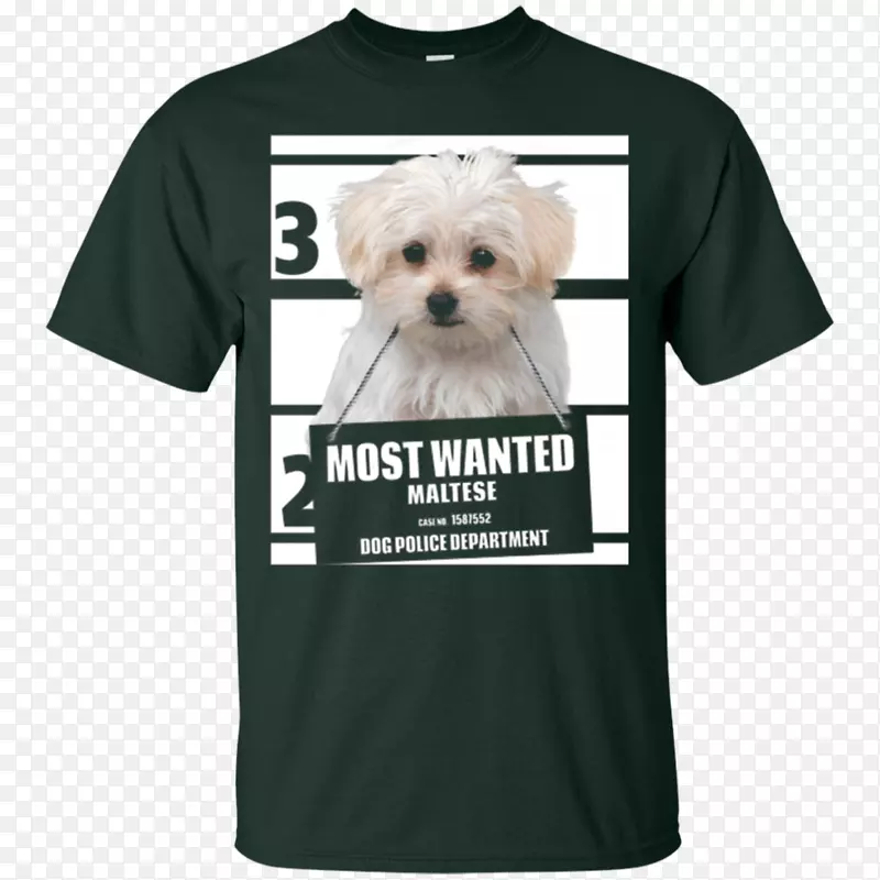 t����ñ������t��-������