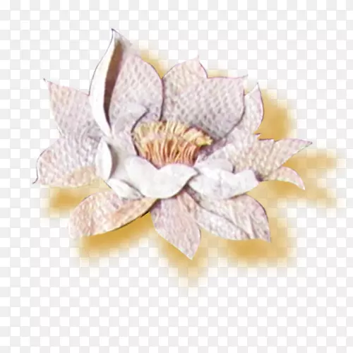 Adobe�廭-�մ�����-������