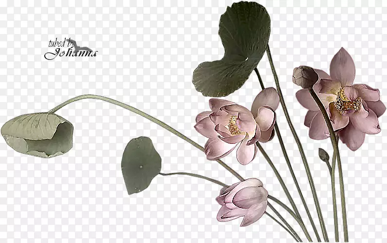 ˮī������PlayStationpngīˮ����-������