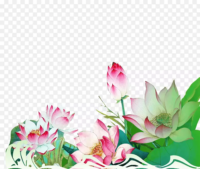 Ҷˮ��ֲ��-ī����-������