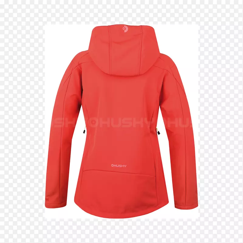 ñ�������������пˣ����ϴ�˹t��-������