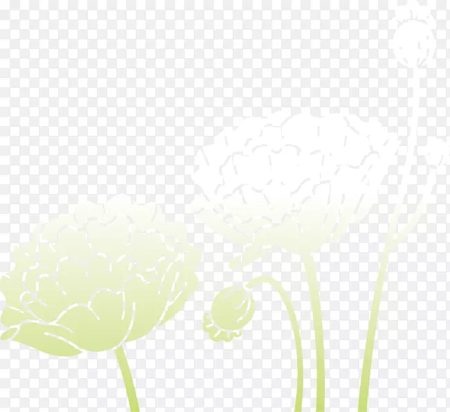 ���꿪��ֲ�ﾥ���Ա�ֽ��ͨ������-������