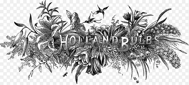 �滭��̲���-���￨����Ӱ-������