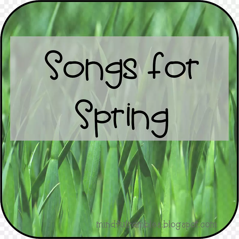 �̲���Ʒ����-����-������