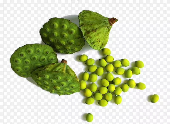 �����±���ʳ����������-������