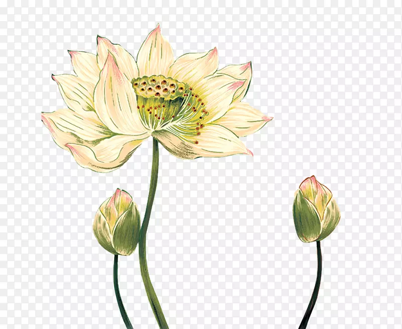 ����ˮ�ʻ�ˮī�����ֻ�����-������