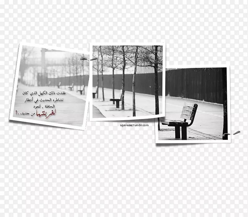 Ʒ�����-������