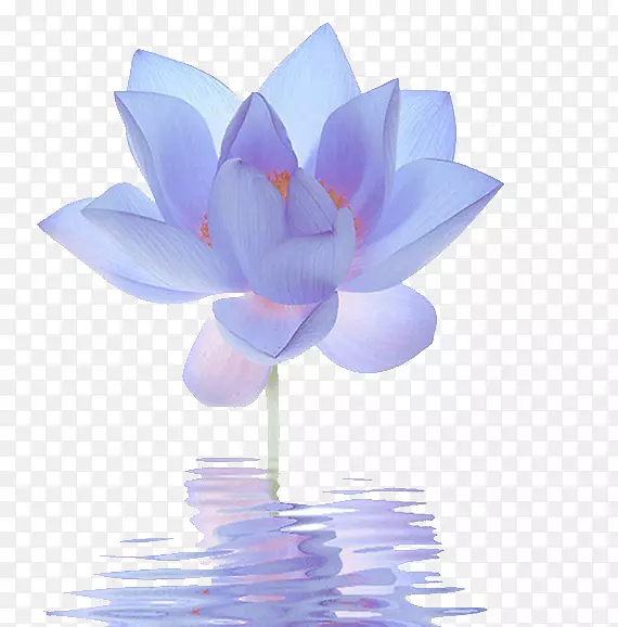 �����������ٺ�-������-������