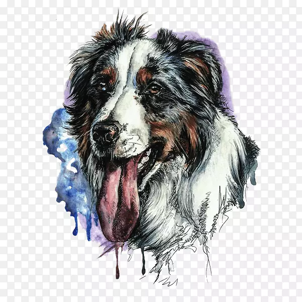 �Ĵ���������Ȯ-������ɽ����Ȯ�߾�����Ȯ-�߾�����Ȯ-������