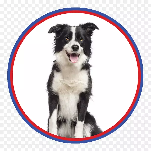 �߾�����Ȯ���ֲ�����Ȯ�����������Ȯ�����������Ȯ����ë��Ȯ-������