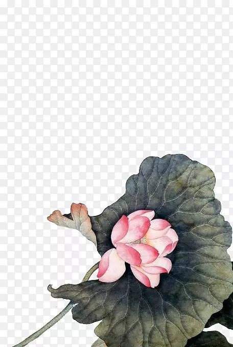 ˮ�ٺ�ˮ�ʻ���������ˮ�ʻ�����-������