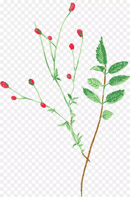 �ٺϺ����-������