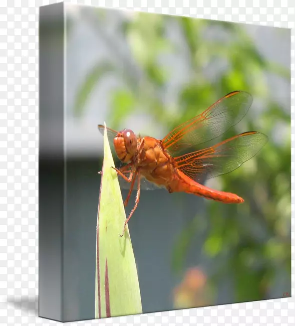 ���ѽ��຦������-������