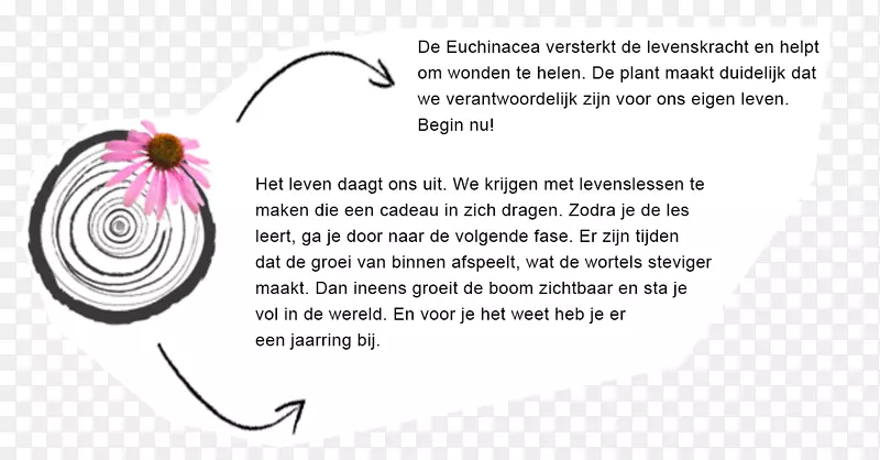 ��������.���-������