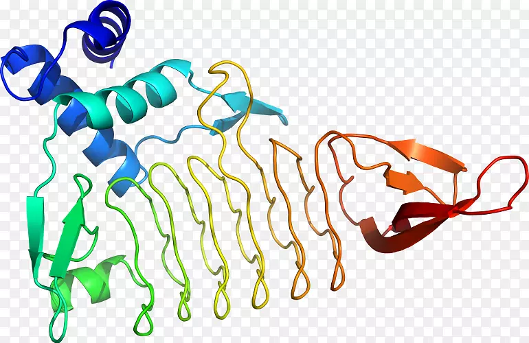 ���������л����߼�������-������