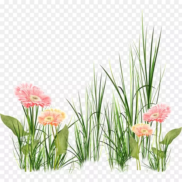 �������-�廨����-������