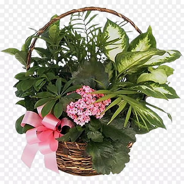 �л�����ֲ��õ�廨-������