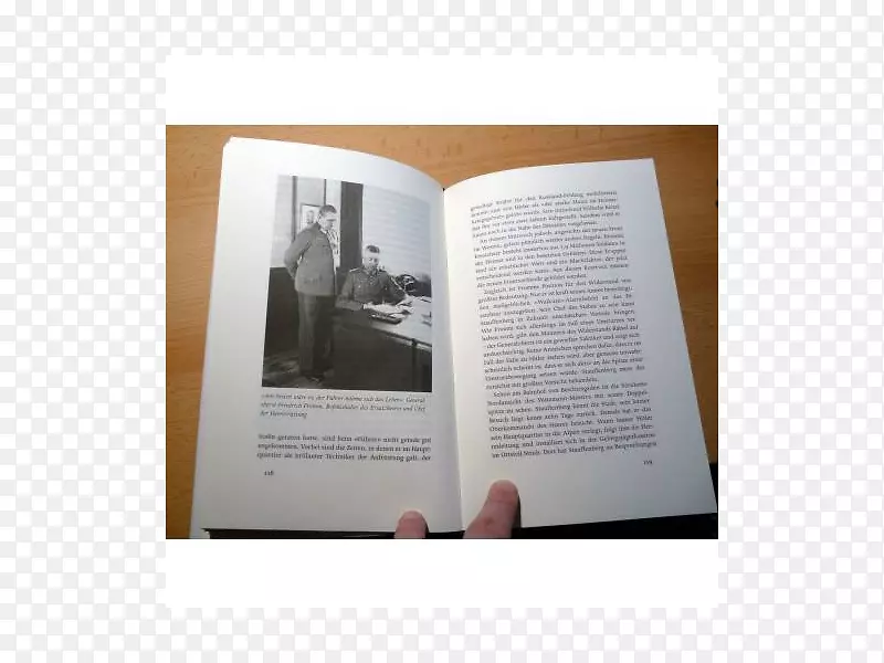 Ʒ���������-������