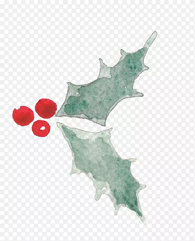 ɽ�زݵ���������ӪҶ����ֲ��GoPro�ױ�Ҷ-������