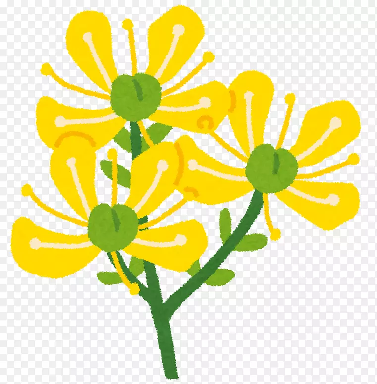 ��������л��ջ�ֲ�ﾥ-�ջ�-������