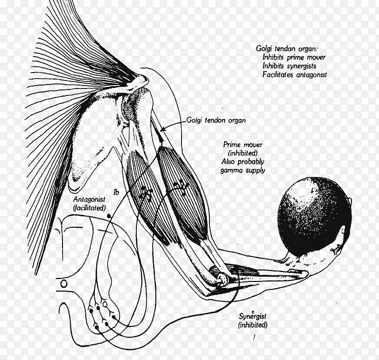 ��ͼ���-������