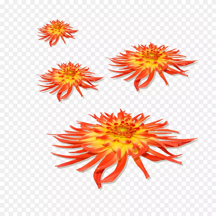 Blog Lofter��Ӱ-���ȡ����ȣ�2�㣬��㣬ŷ�ޣ���0.5-������