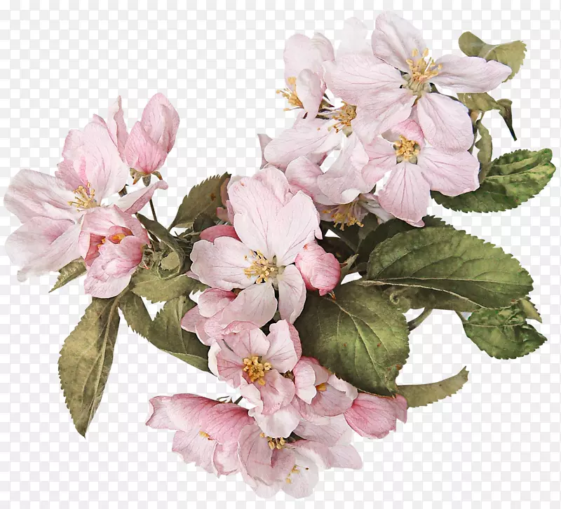 ��ˮ�ʻ�-������