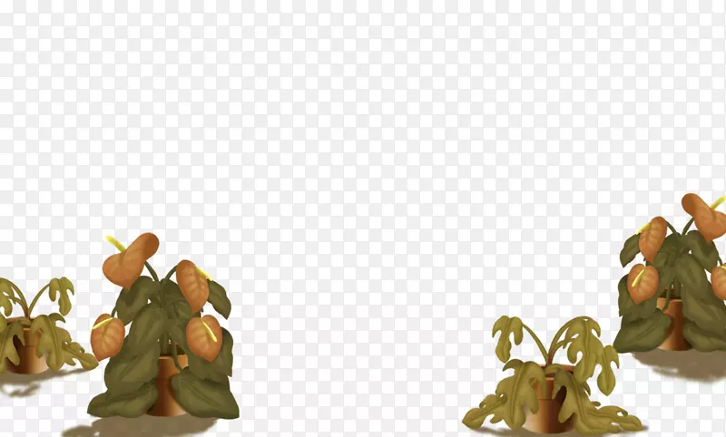 ʳ����������-������