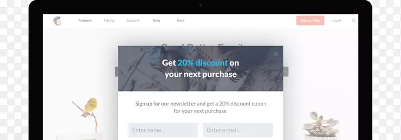 ��ҳ������ý�����弼��-������