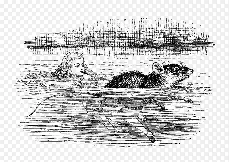 ����˿���ɾ��е�ð��-����˿�����ɾ��ۺ�֢ͯ�������еĽ��-����˿���ɾ���ͼ��-������