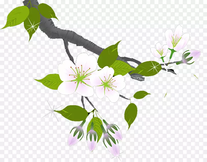 ÷����֦ǽֽ-÷��-������