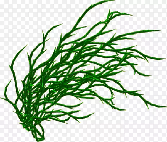 ���ͼ�����-������