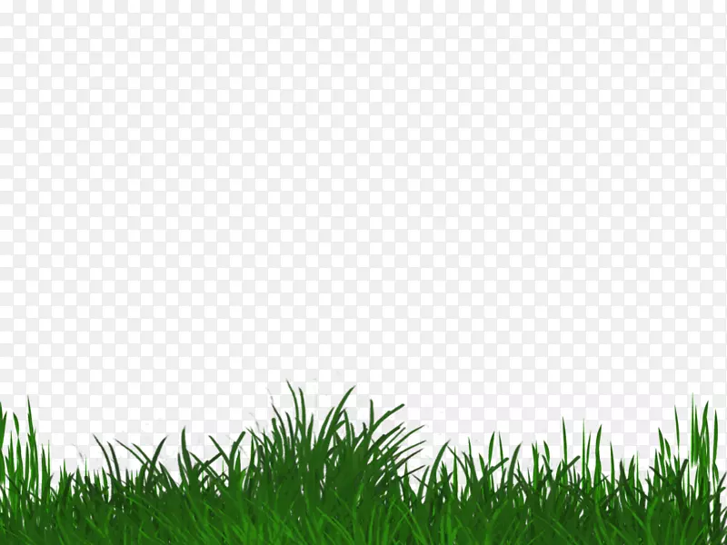 ��ƺ��ԭ���plc-������