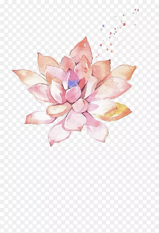 ˮ�ʻ�����ֲ���ͼ-����-������