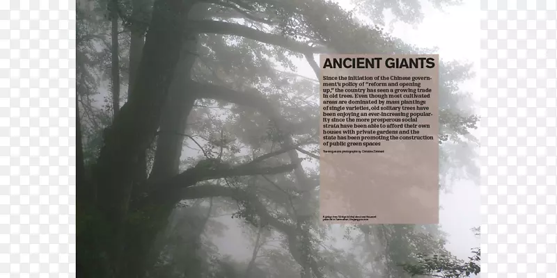 ������������-������