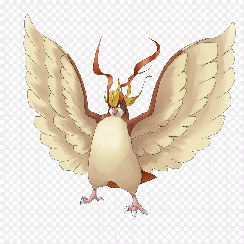 ����๶���-����-������