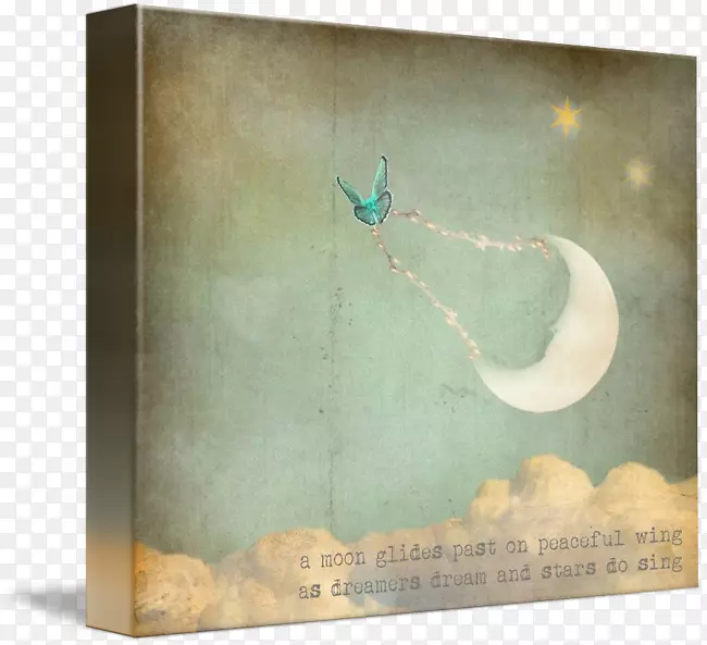 ����-˫��ˮ�ʻ�-������