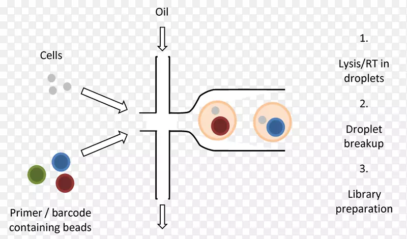 Ʒ�ƶ������-������