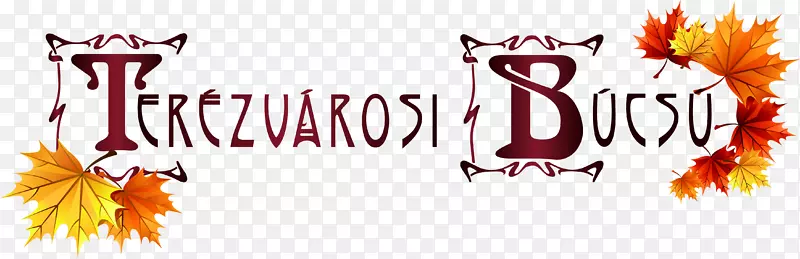 �̱������ֽƷ�Ƶ�������-����-������