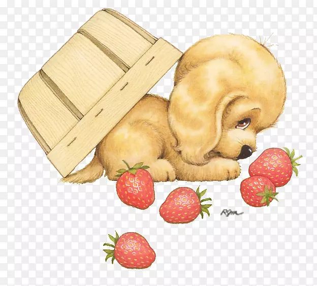 С������ʳʳ�����-С��-������