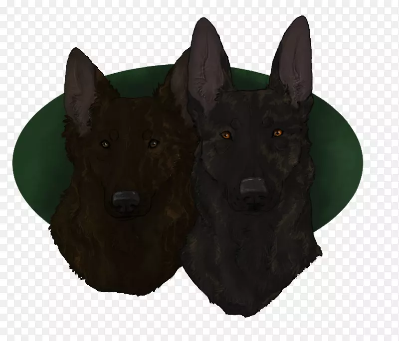 ѩ�տ�Ȯ��ֳ����ëƤ-��������Ȯ-������