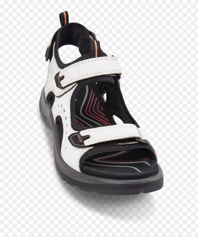 �˶�Ь����ѵ���˶���װ���ж���-������