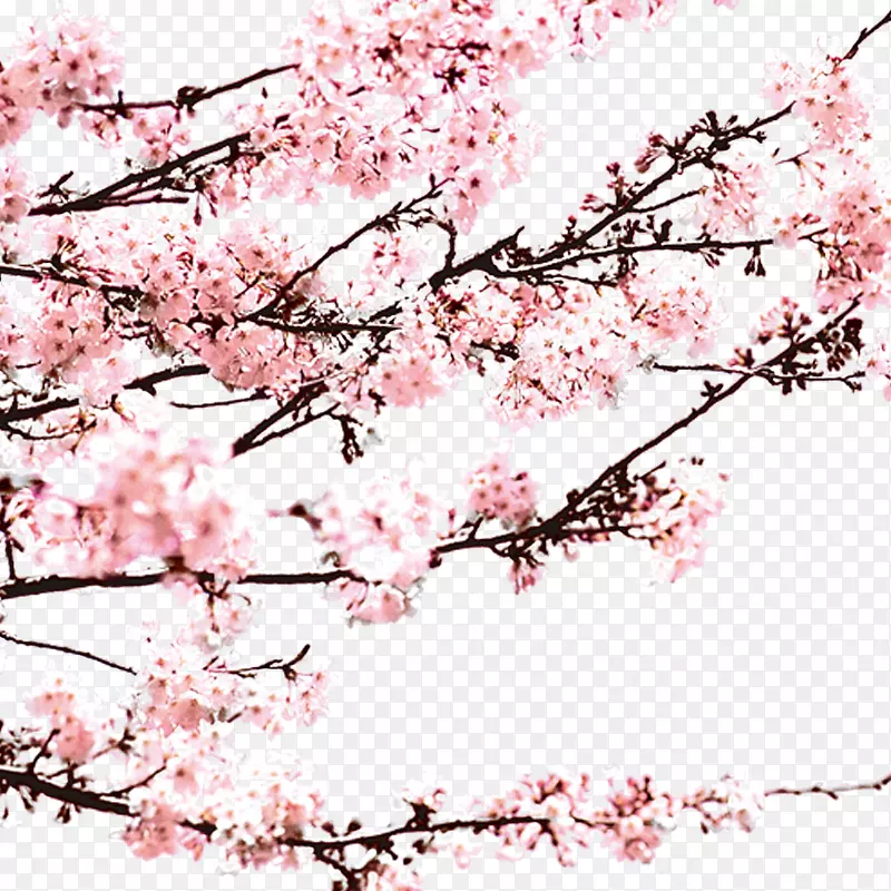 ����-÷��-������