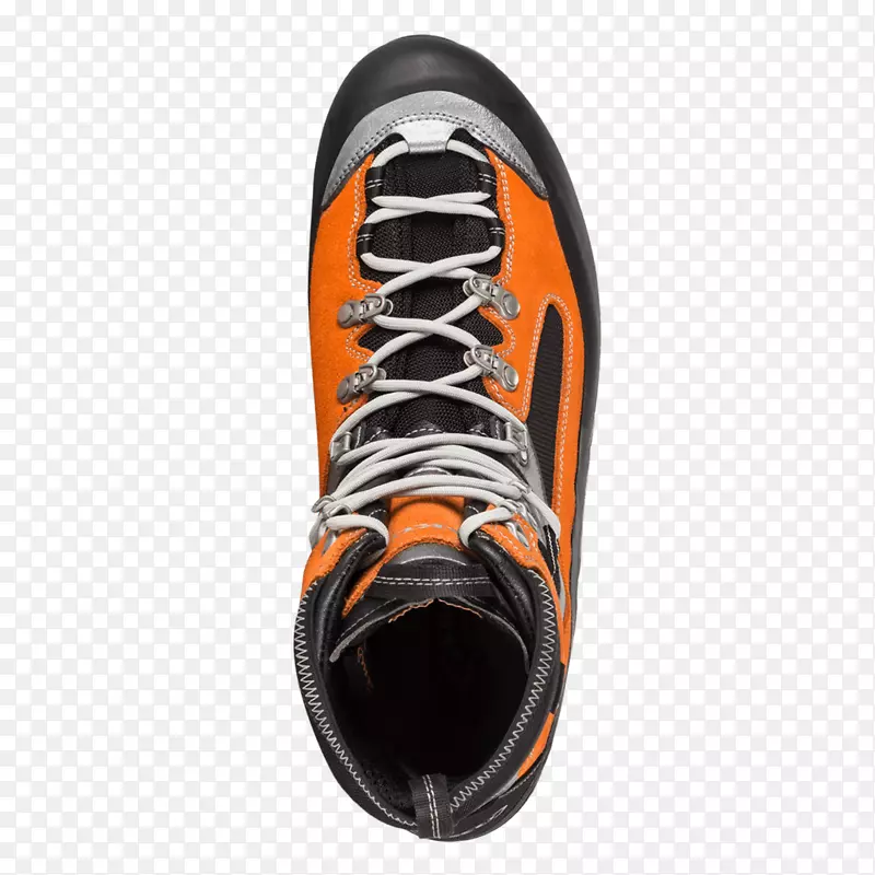 Ь����ѵ�����-������