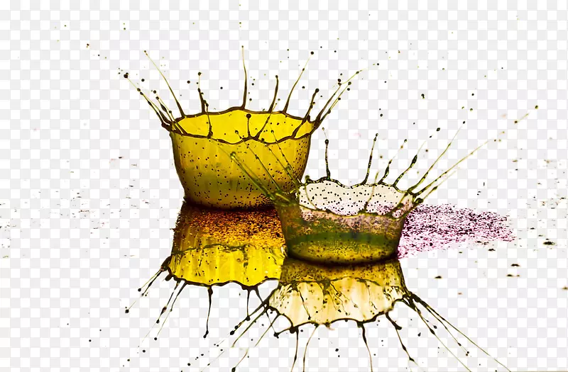 ƽ�������Ӱˮ��ˮ��ЧӦԪ��-������